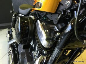 Harley-Davidson Iron 883 & Forty-Eight
