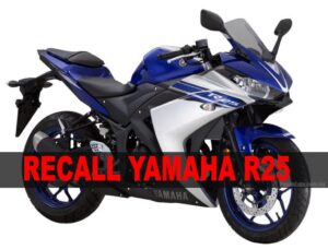 Yamaha R25