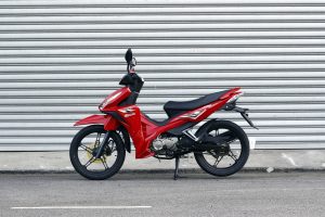 Demak Kobra