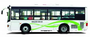 Bas Elektrik Go Auto