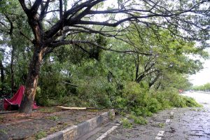 cub prix batu kawan pulau pinang batal