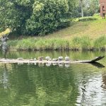 Tapak Arkeologi Liangzhu di Hangzhou, China
