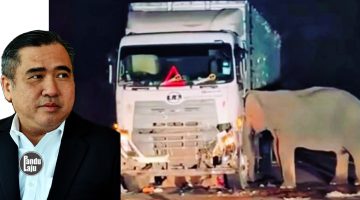 Anthony Loke Siew Fook - MOT akan nilai semula laluan risiko tinggi untuk lindungi haiwan liar