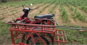 Warga Emas Tunggang Motosikal Maut Akibat Dipanah Petir