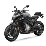 CFMoto 650NK 2025 - Tundra Grey