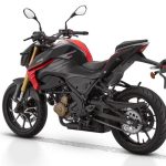QJMotor SRK250S