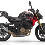 QJMotor SRK250S