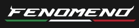 Logo Lamborghini Fenomeno