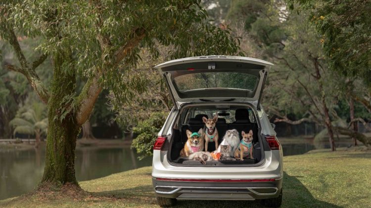 Volkswagen Perkenal Koleksi Gaya Hidup ‘Furever in Style’ Untuk Haiwan Peliharaan