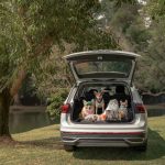 Volkswagen Pet Collection: Furever in Style
