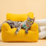 Volkswagen Pet Collection: Furever in Style