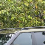 Hyundai Santa Fe Hybrid | Smartstream 1.6T HEV 6AT 2WD