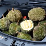 Cabaran pandu uji media Proton e.MAS 5 dari COE ke Genting HIghlands