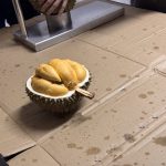 Cabaran pandu uji Chery Tiggo PHEV sejauh 1,200km