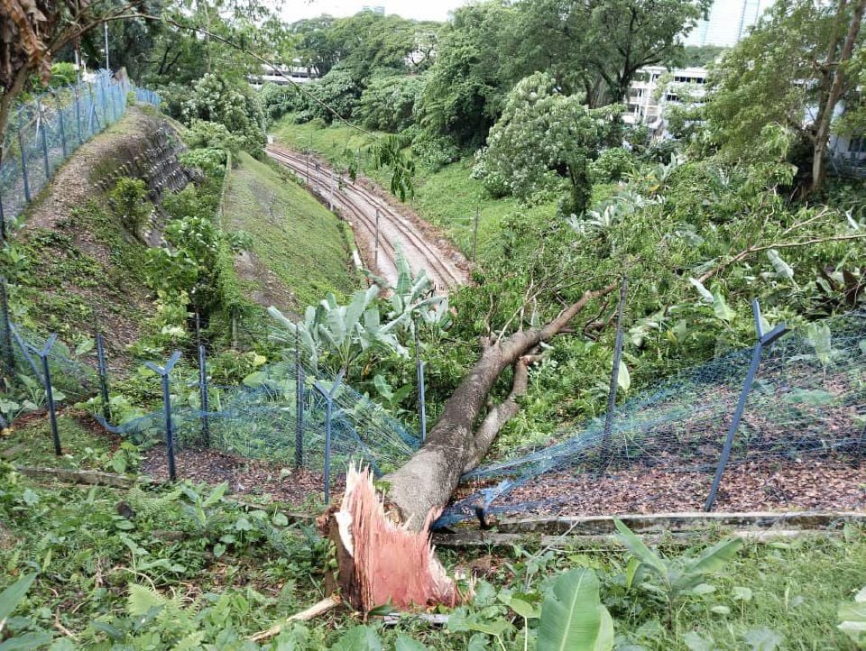 Pokok tumbang jejas kelancaran tren KTMB