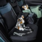 Dacia Striker 2027