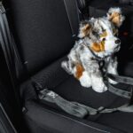 Dacia Striker 2027